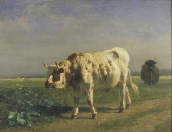 constant troyon The white bull. Spain oil painting art